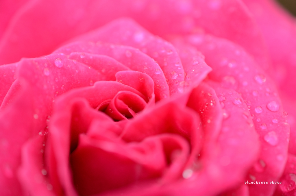 Dew