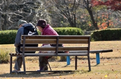 晩秋の公園にて