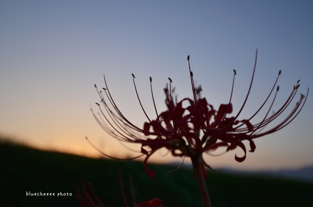 夕暮れ時に。。。