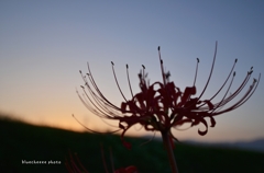 夕暮れ時に。。。