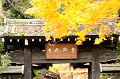 嵯峨野にて