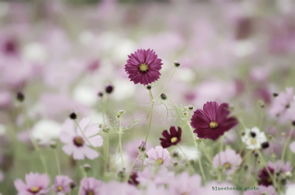 goodbye so long・・・・