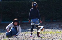 ケリだったのね～(｀･ω･´)