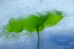floating