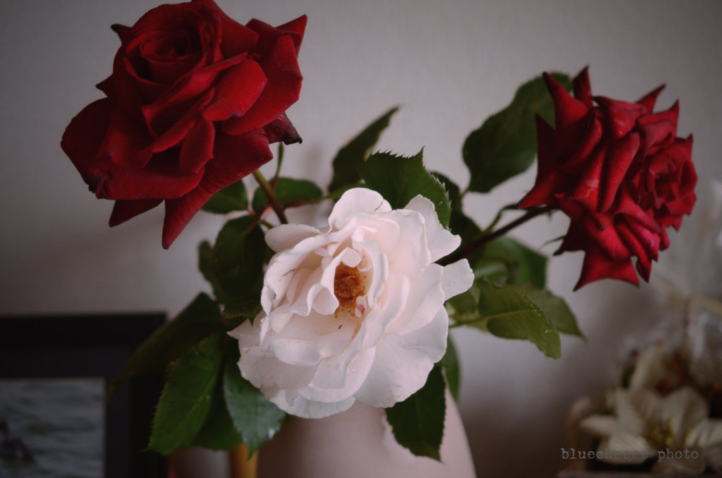 red and white