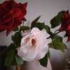 red and white