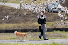 来年もまた来ようね。。。