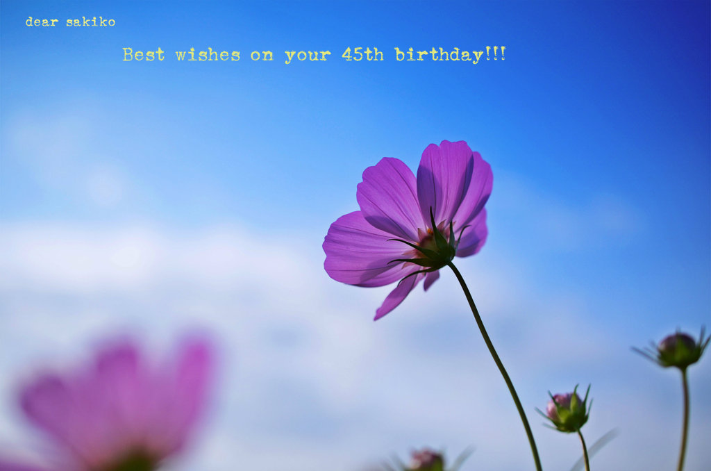 ｂｉｒｔｈｄａｙｃａｒｄ