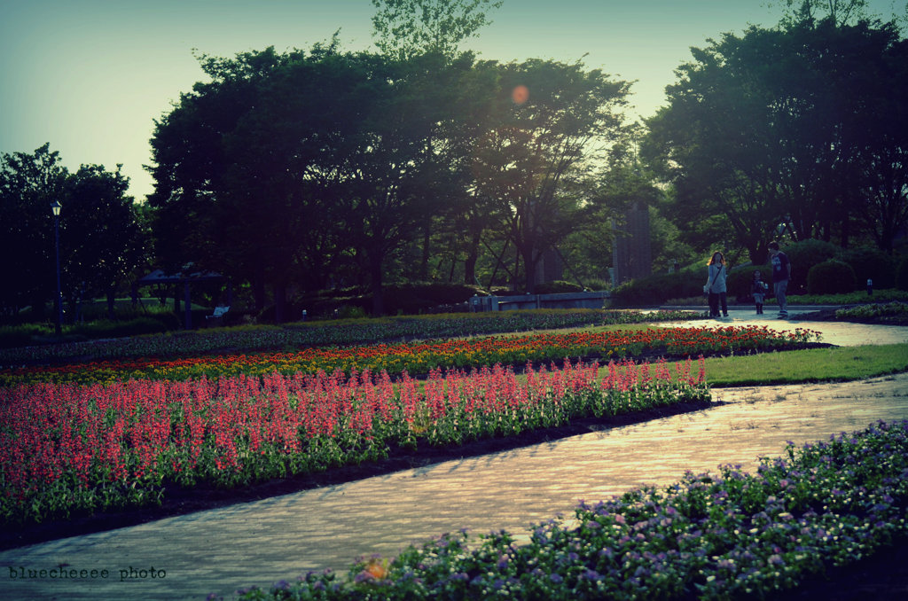 FLOWER PARK