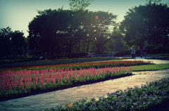 FLOWER PARK