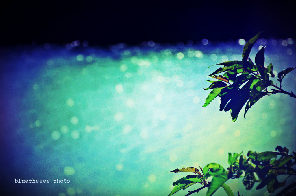 shiny pond