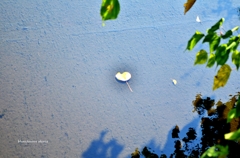 The end of life 