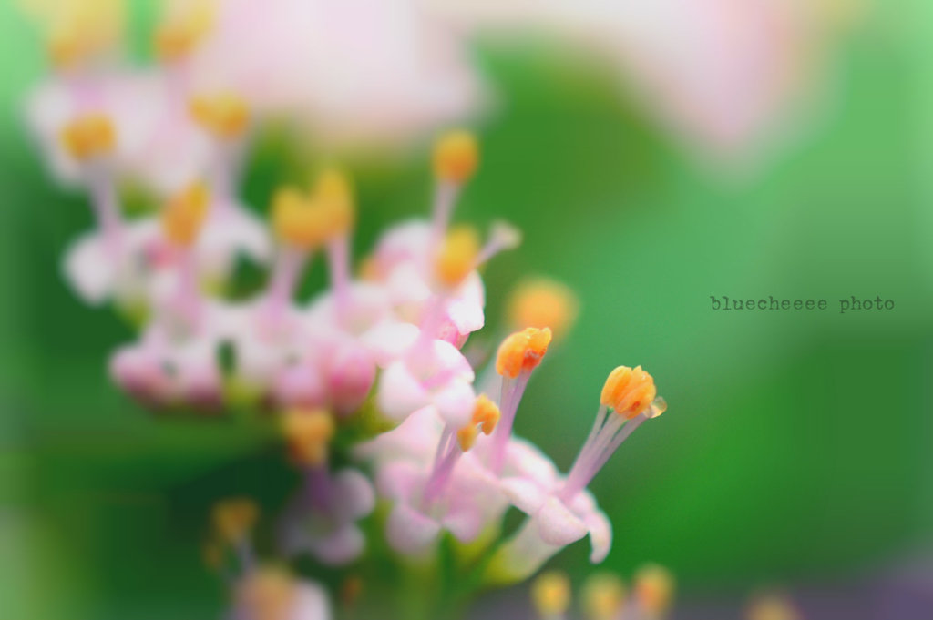 優しい気持ち♡