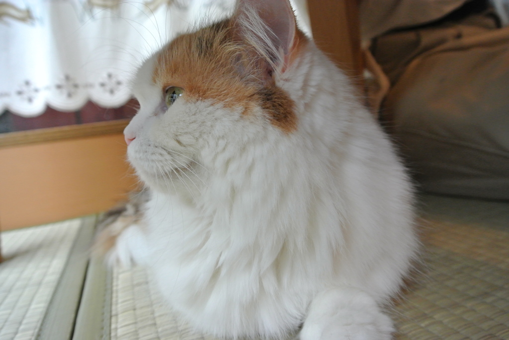 のんびり