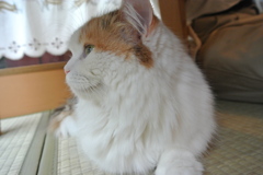 のんびり
