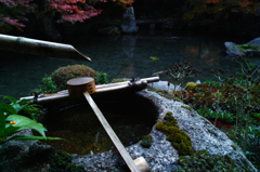 "Shishiodoshi"