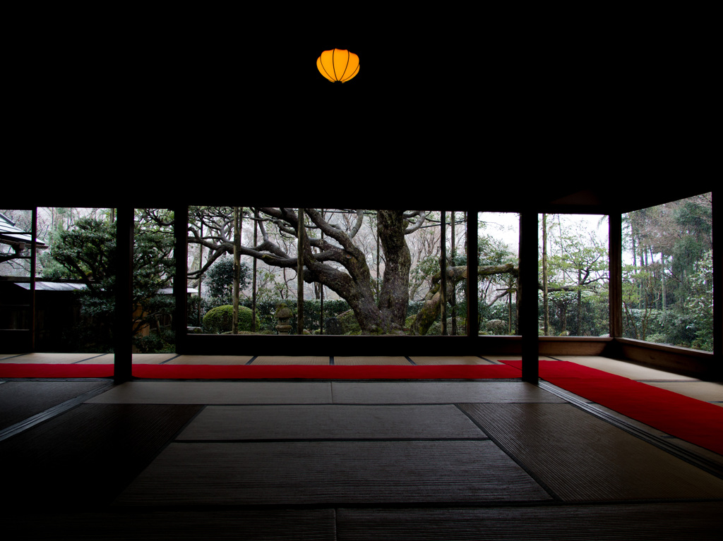 Surrounded with silence