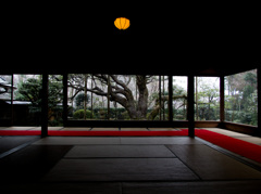 Surrounded with silence
