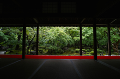 The temple filled with green