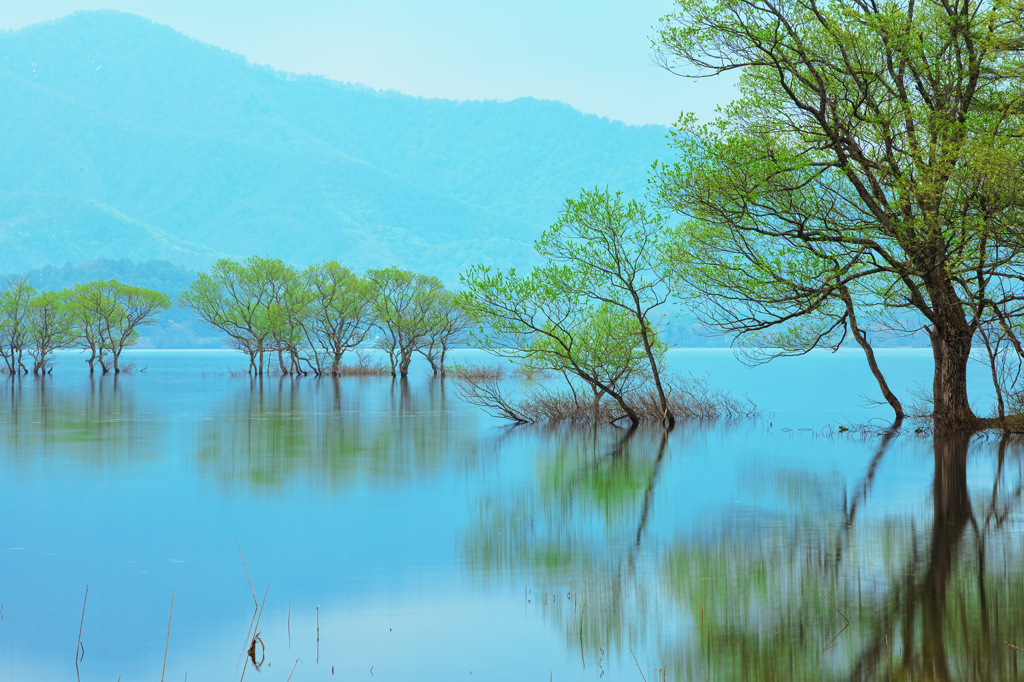 早朝の桧原湖