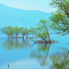 早朝の桧原湖