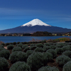 月明りに浮かぶ富士山。河口湖にて