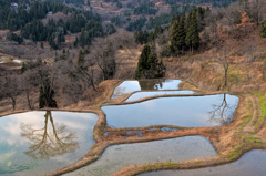 冬を待つ棚田