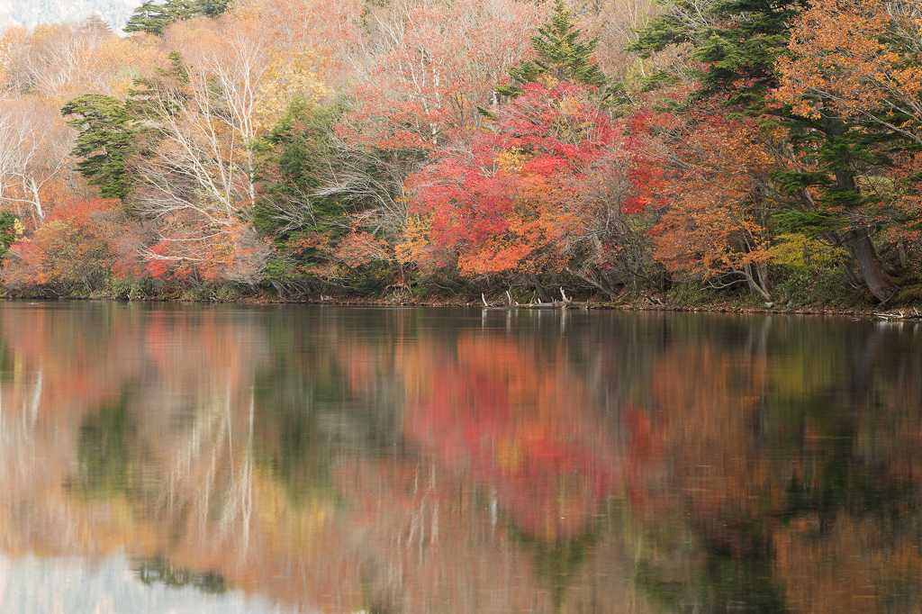 奥日光、紅葉おわりかな…