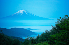 三つ峠の林道から見る富士山