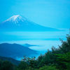 三つ峠の林道から見る富士山