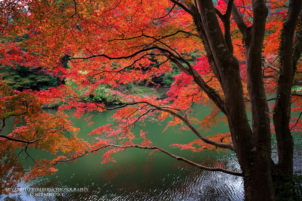 鎌北湖の紅葉その2