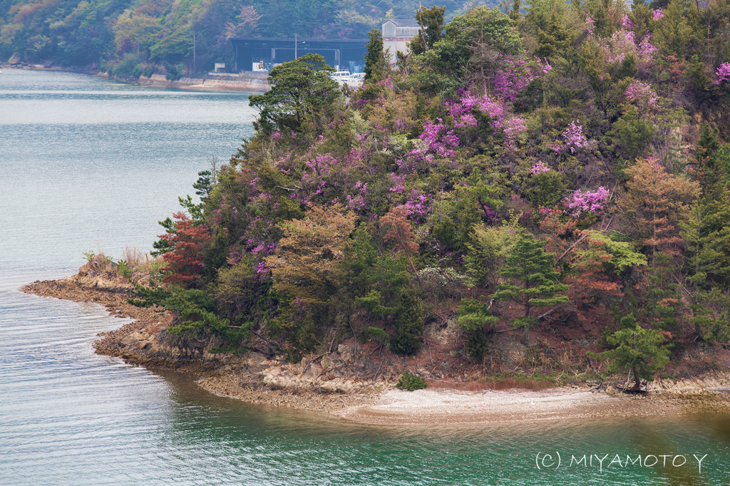 備前の小島