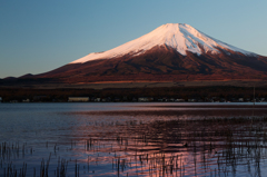 朝の富士山