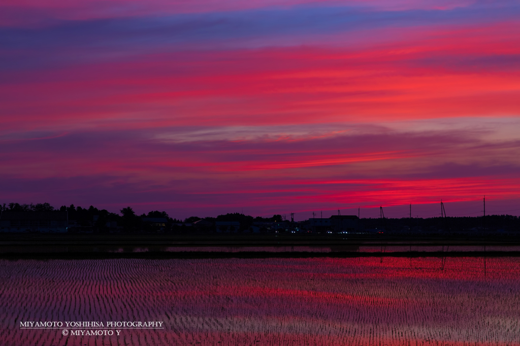 夕焼け