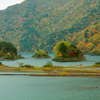 秋元湖に浮かぶ小さな島々の紅葉