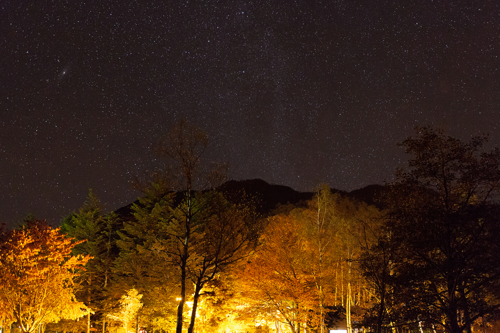 星と紅葉