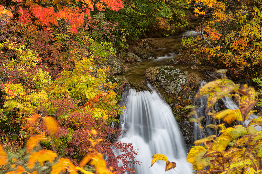 秋に包まれた滝