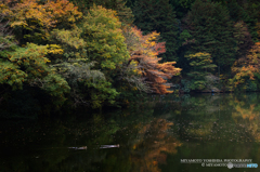 鎌北湖の秋その3