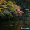 鎌北湖の秋その3