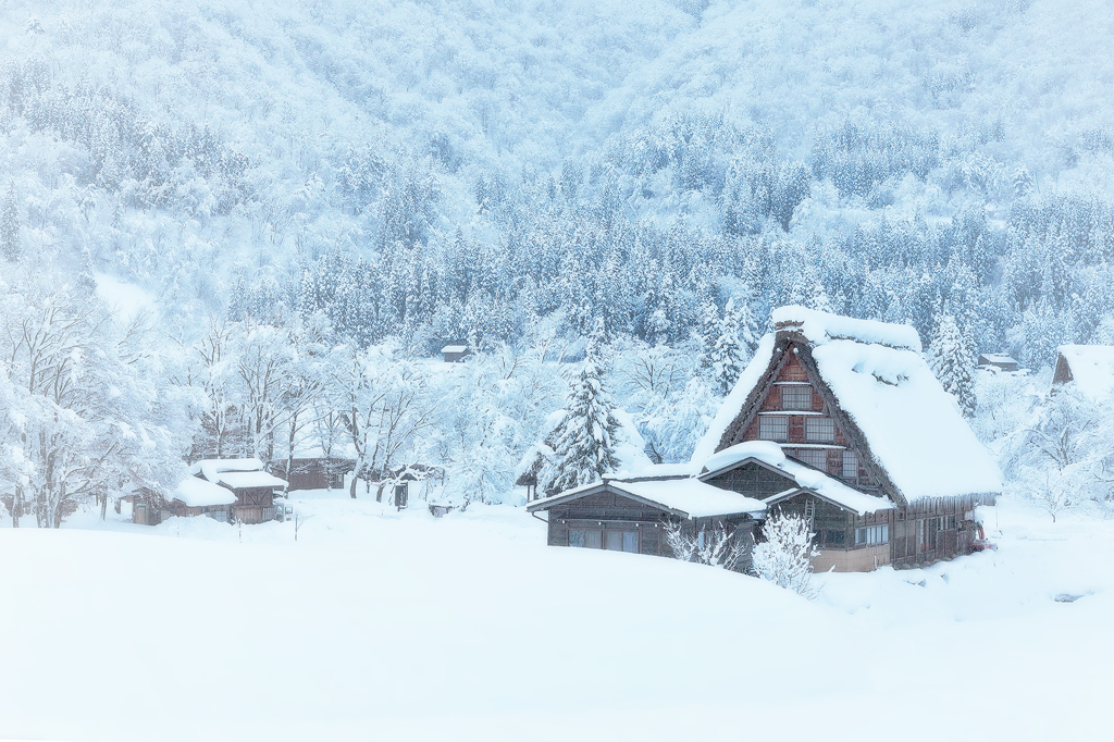 雪に耐える