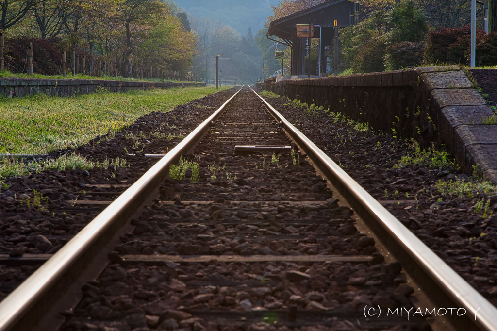 朝の線路