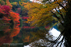 鎌北湖の紅葉その3