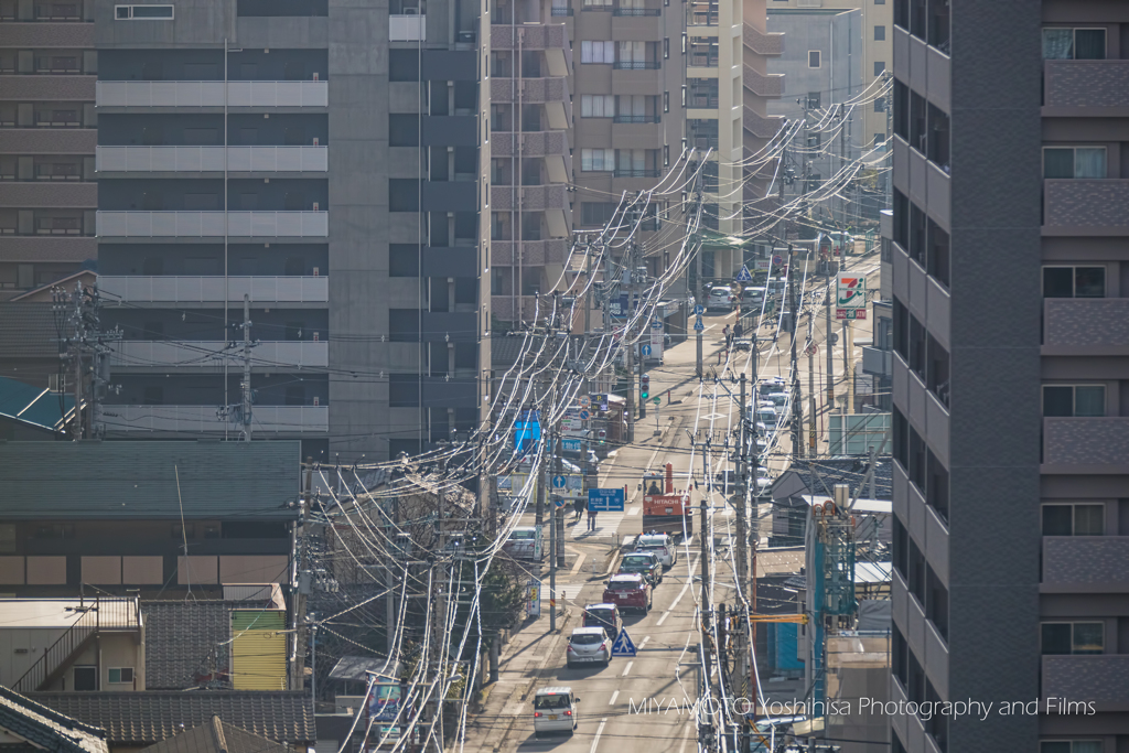 新潟市内の電線