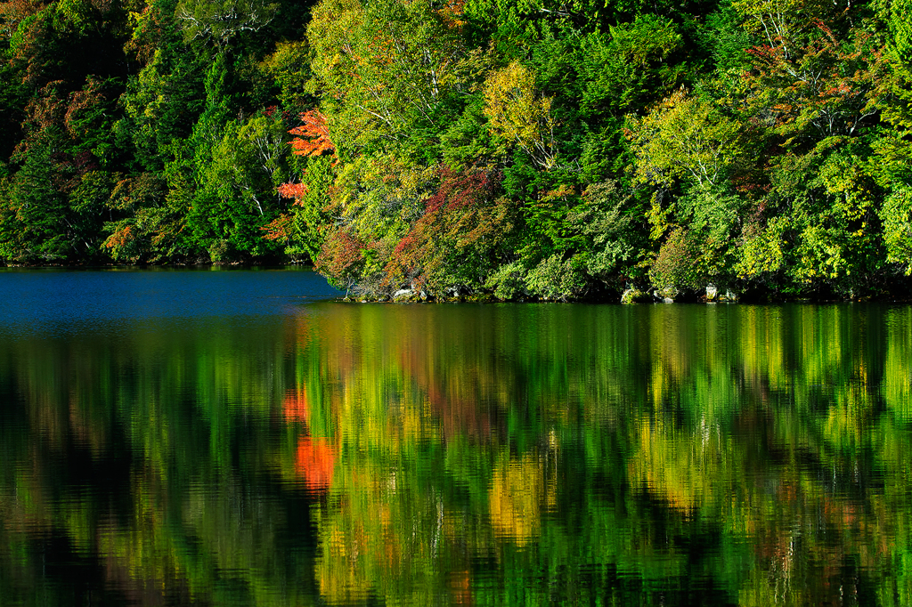紅葉を写す湯ノ湖