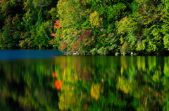 紅葉を写す湯ノ湖