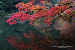 鎌北湖の紅葉その1