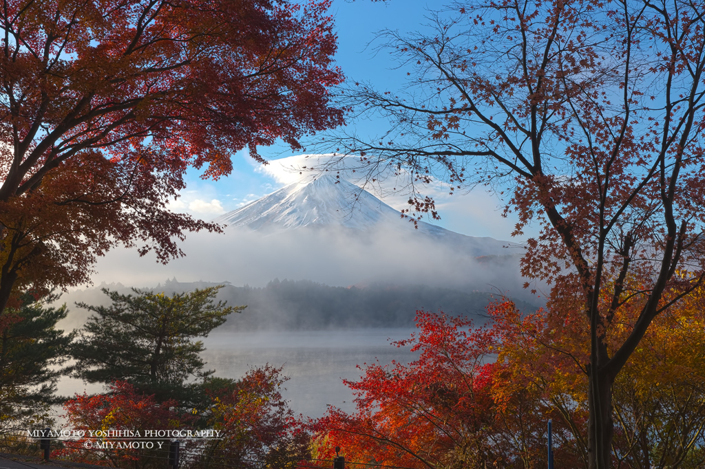 富士山と紅葉