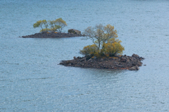 桧原湖にある小さな島