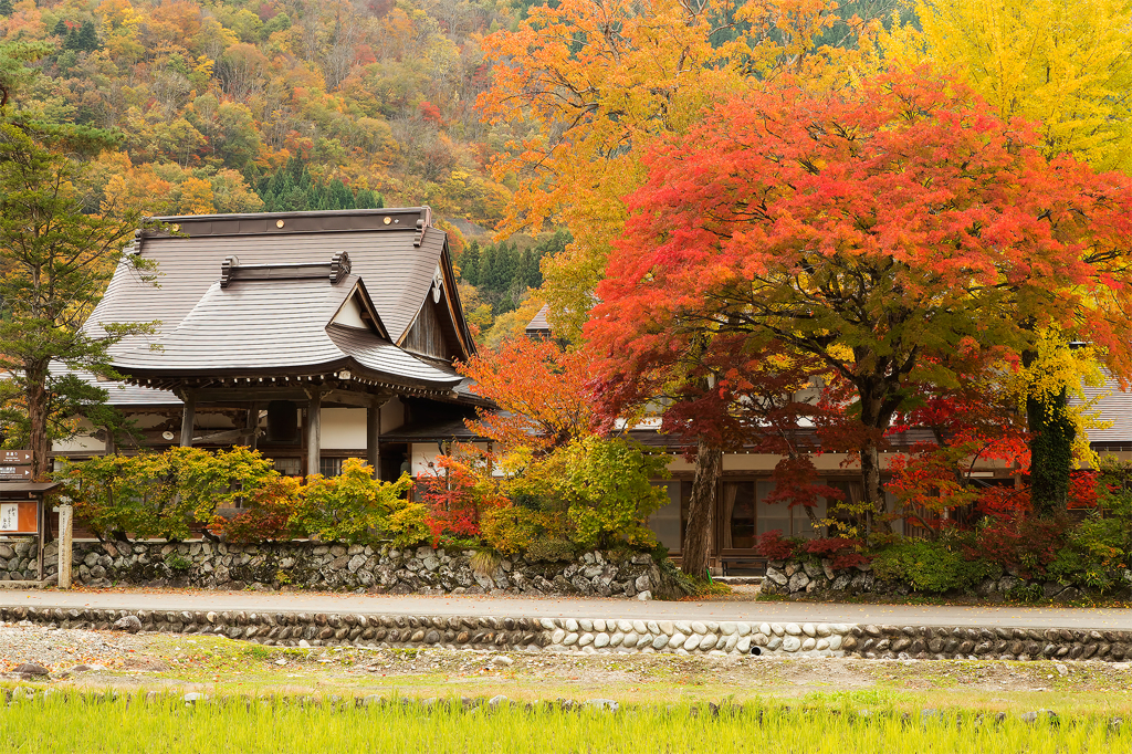 秋色の白川郷