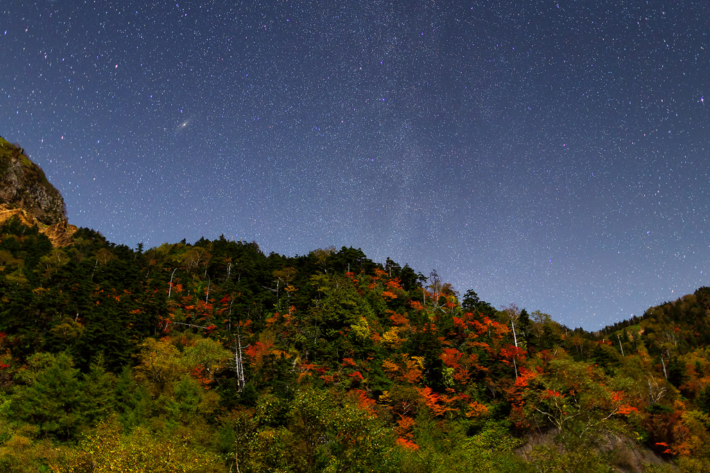 月明りで撮る紅葉 by 宮本よしひさ （ID：2130382） - 写真共有サイト